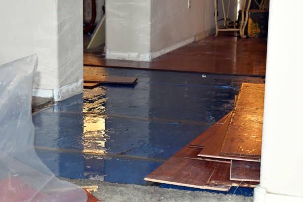 Professional Basement Flood Cleanup technician working in Dixie, WA